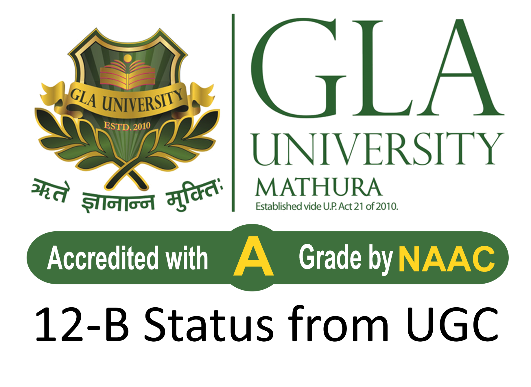 DLF Logo